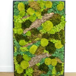 tableau végétal naturel stabilisé rectangulaire thème forest