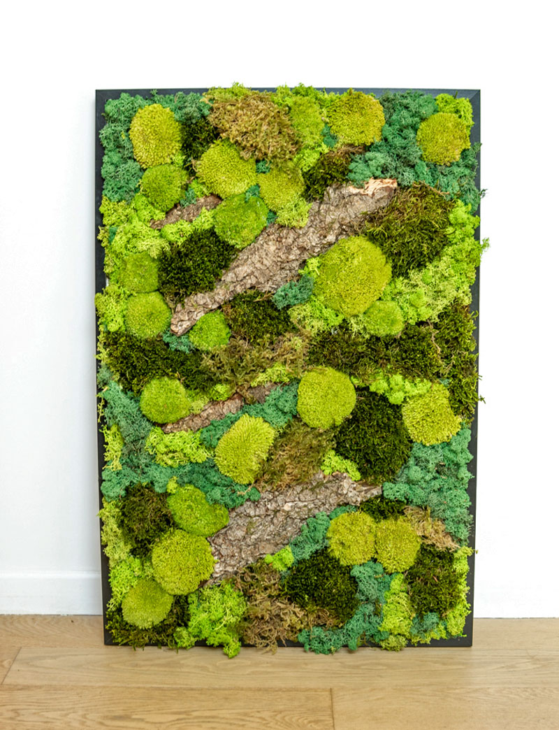 tableau végétal naturel stabilisé rectangulaire thème forest