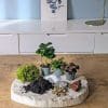recharge pour terrarium grand modèle