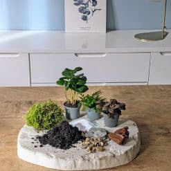 recharge pour terrarium grand modèle