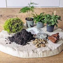 recharge pour terrarium grand modèle