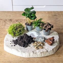 recharge pour terrarium grand modèle