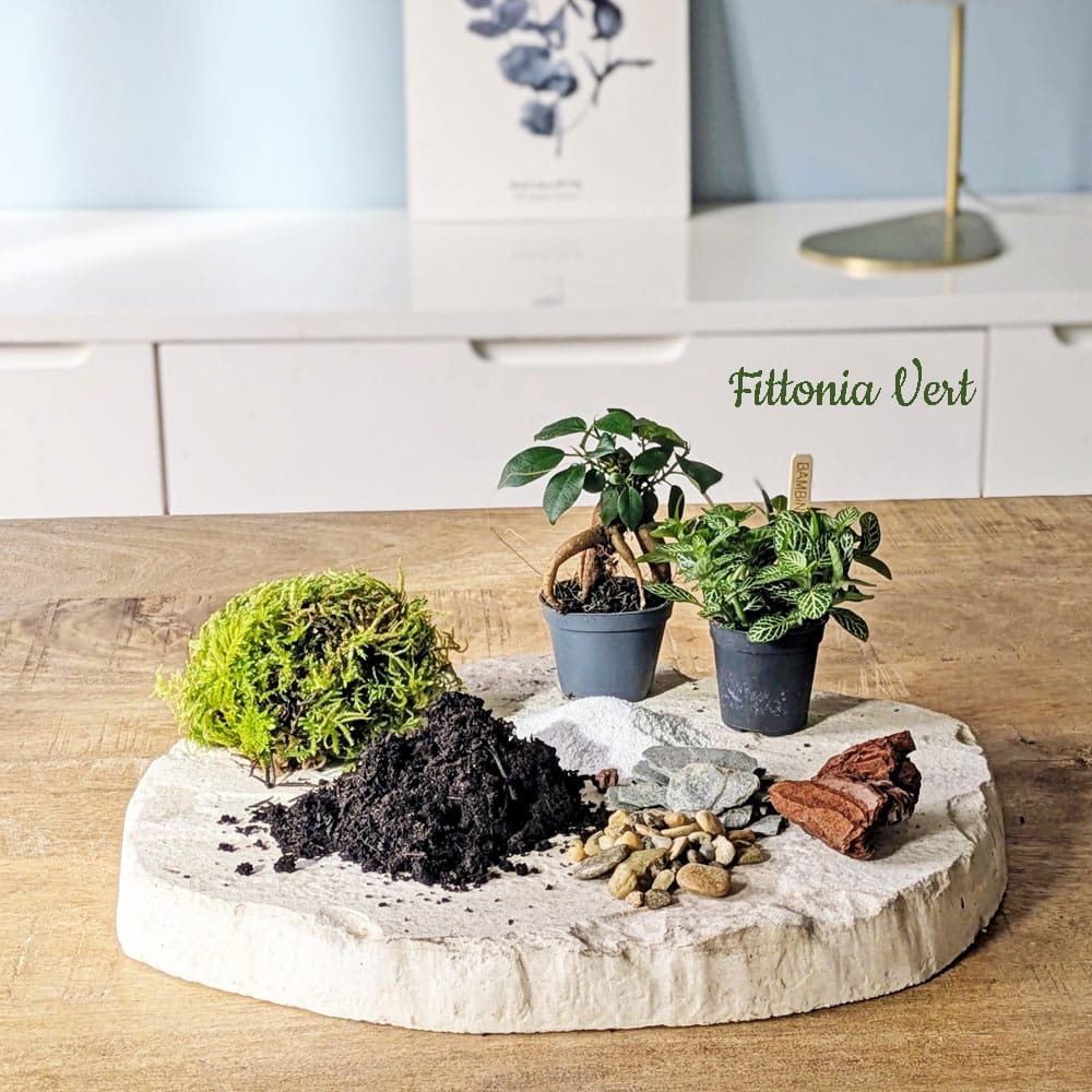 recharge pour terrarium moyen modèle