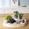 recharge pour terrarium moyen modèle