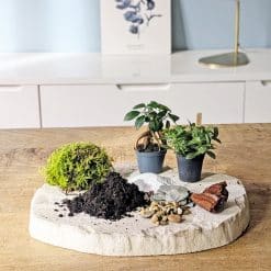 recharge pour terrarium moyen modèle