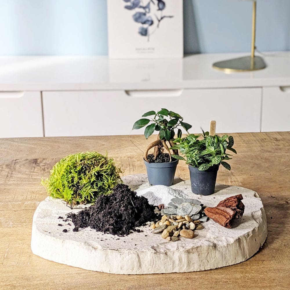 recharge pour terrarium moyen modèle