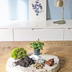 recharge pour terrarium petit modèle