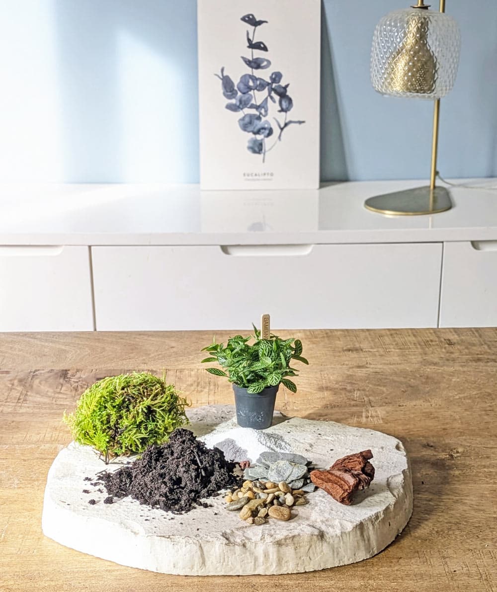 recharge pour terrarium petit modèle