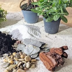 recharge pour terrarium moyen modèle