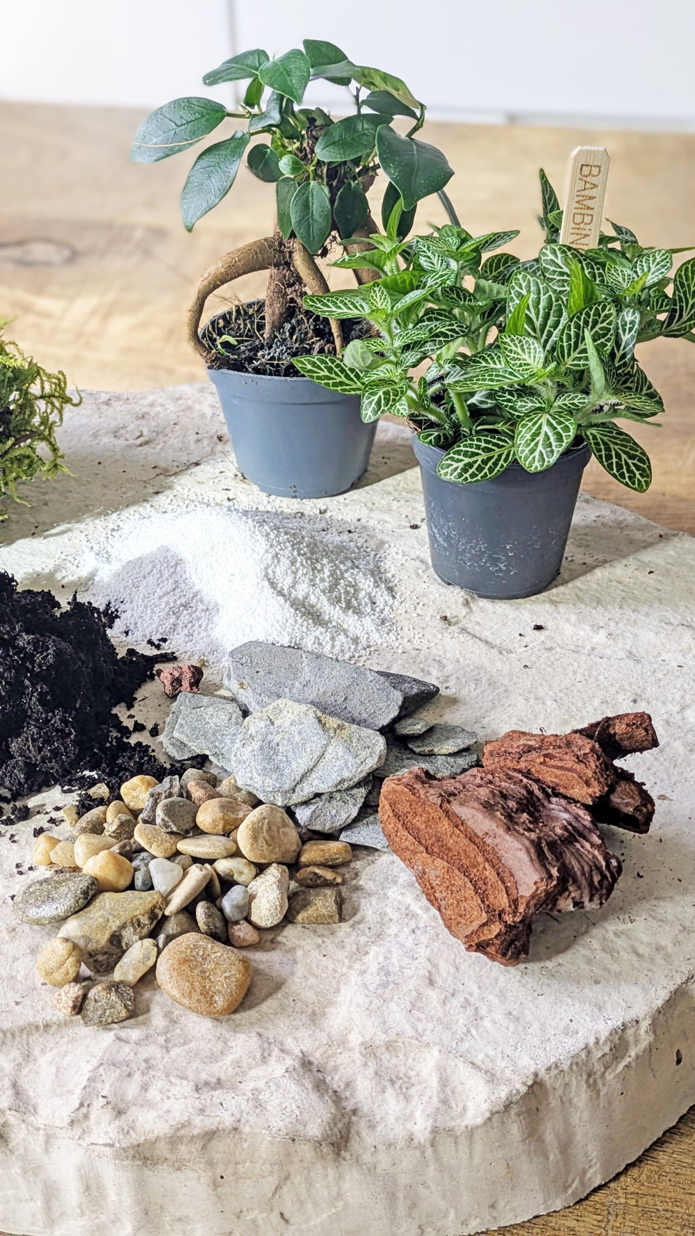 recharge pour terrarium moyen modèle