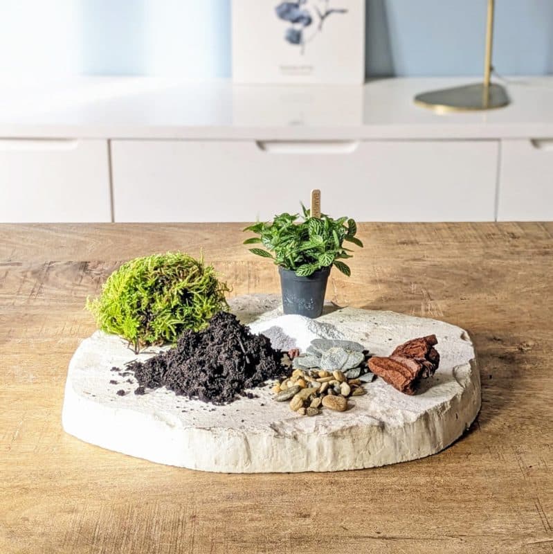 recharge pour terrarium petit modèle