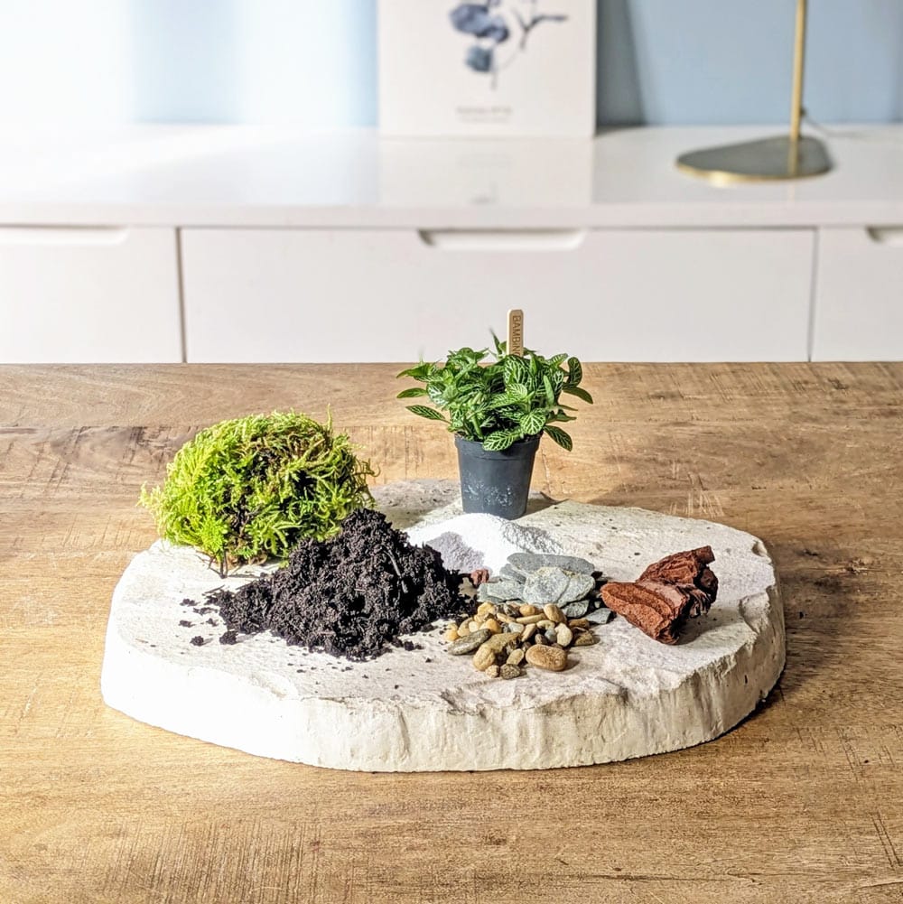 recharge pour terrarium petit modèle