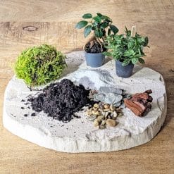 recharge pour terrarium moyen modèle