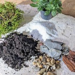 recharge pour terrarium petit modèle