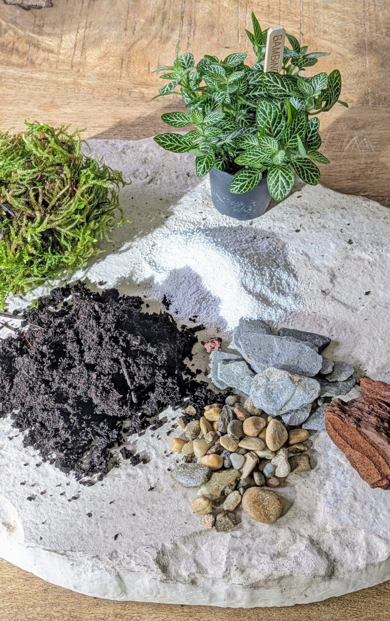 recharge pour terrarium petit modèle