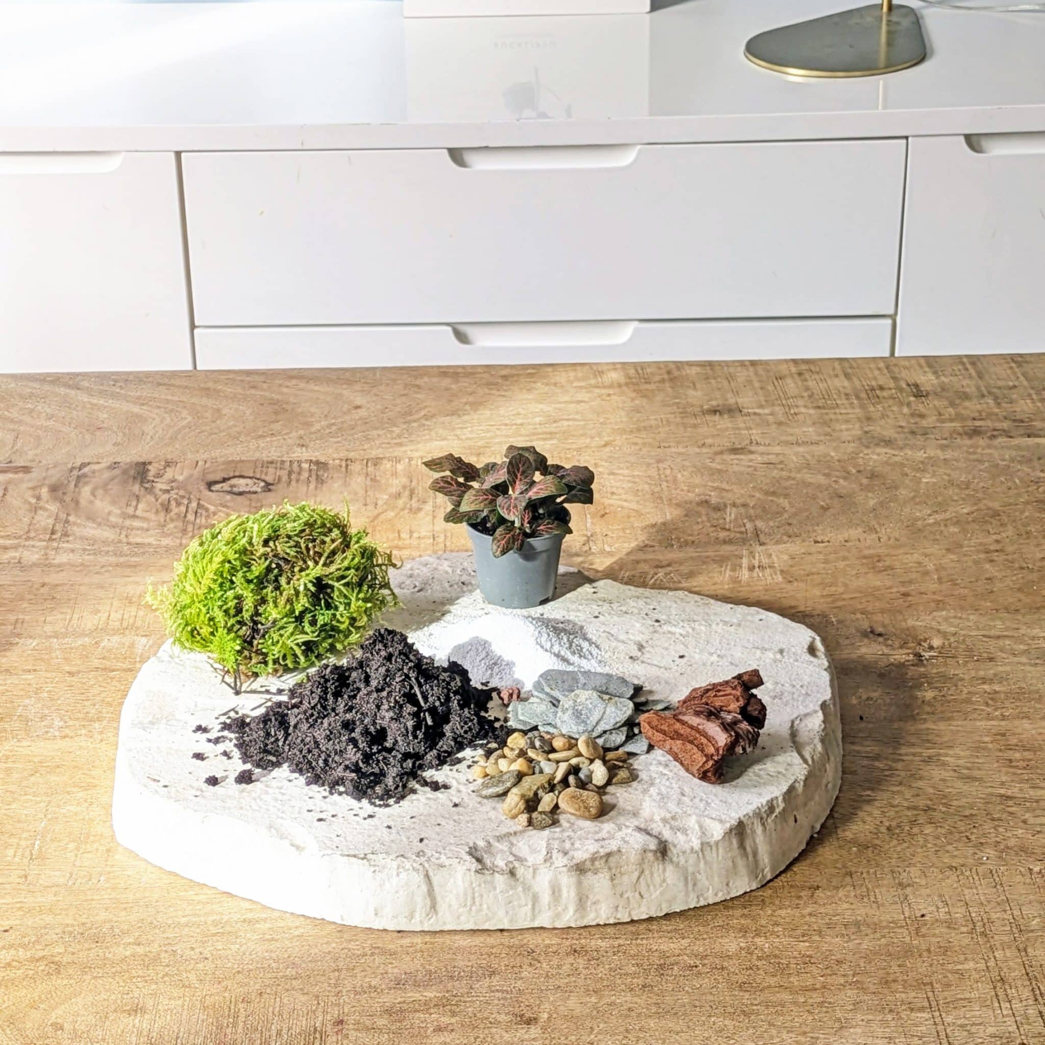 recharge pour terrarium petit modèle