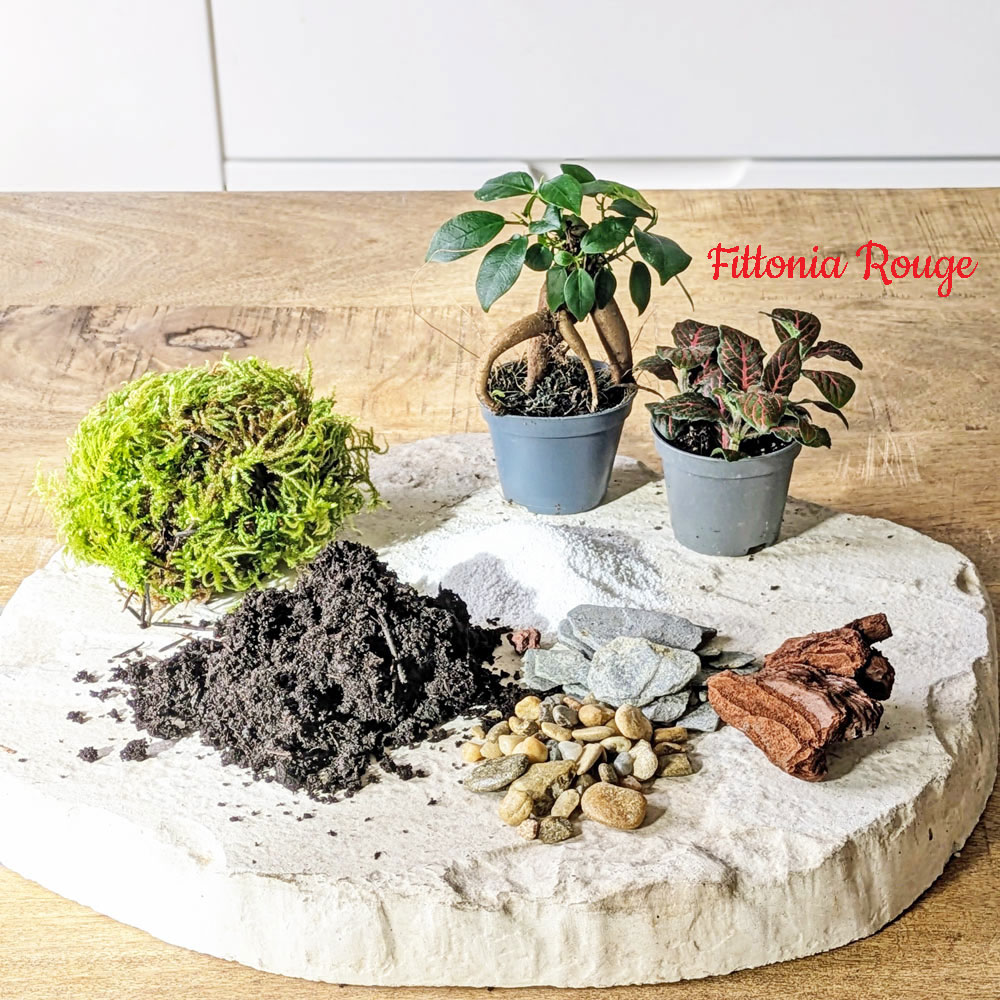 recharge pour terrarium moyen modèle