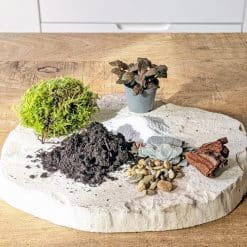recharge pour terrarium petit modèle