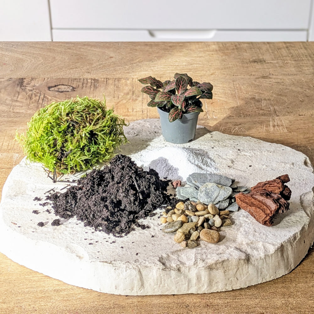 recharge pour terrarium petit modèle
