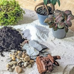recharge pour terrarium moyen modèle