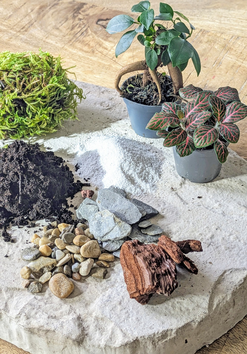 recharge pour terrarium moyen modèle