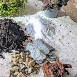 recharge pour terrarium petit modèle