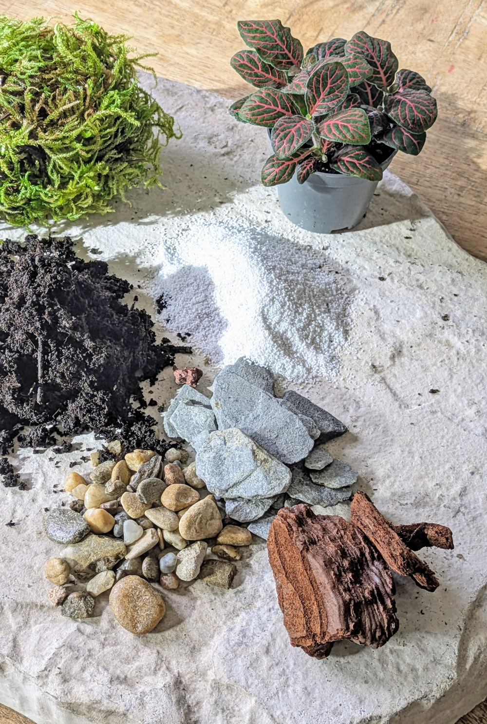 recharge pour terrarium petit modèle