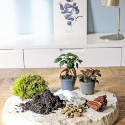 recharge pour terrarium moyen modèle