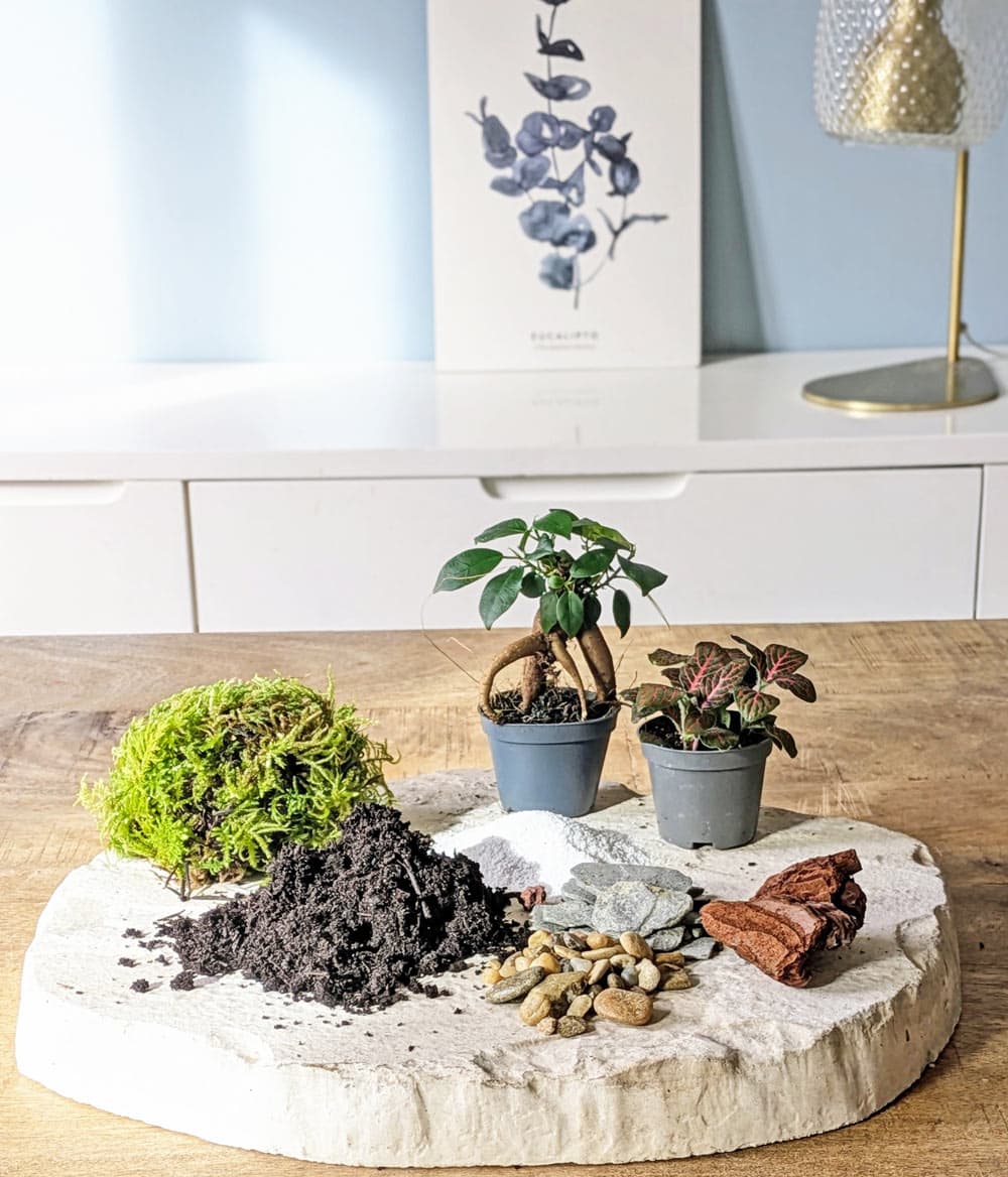 recharge pour terrarium moyen modèle