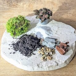 recharge pour terrarium petit modèle