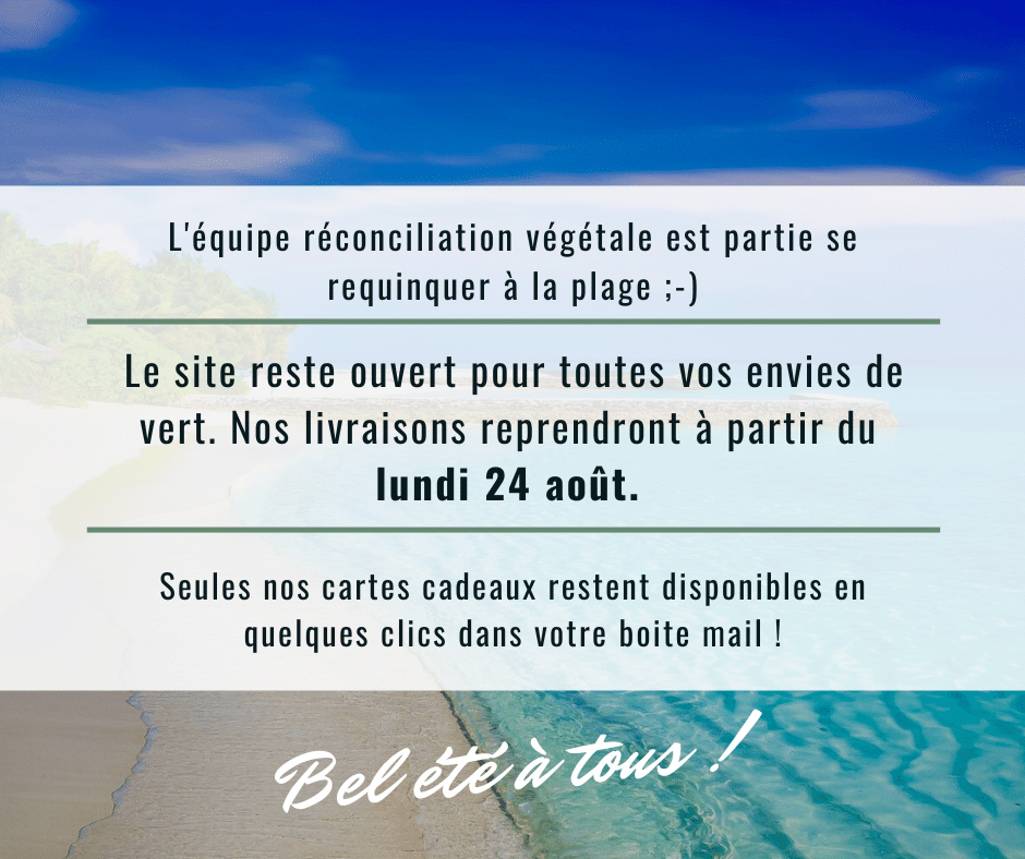 vacances aout 2026